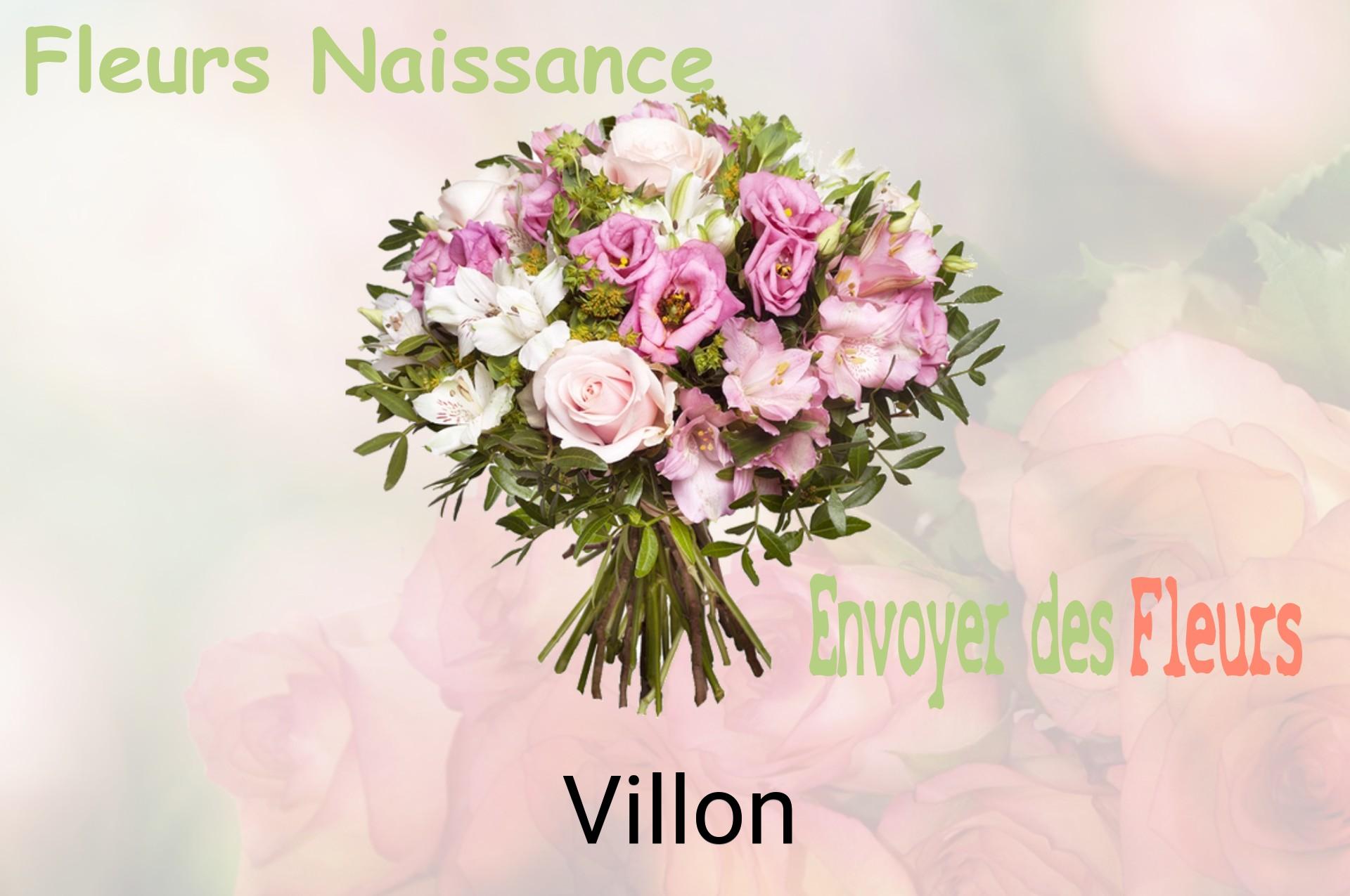 Bouquet de fleurs de naissance livré à Villon
